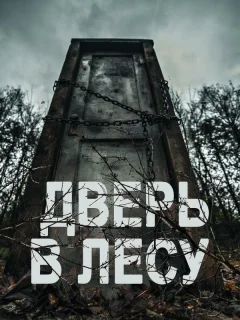 Дверь в лесу