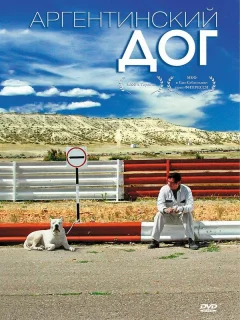 Аргентинский дог