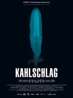 Вырубленный лес