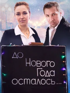 До Нового года осталось…