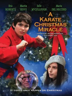 Рождественское чудо в стиле карате
