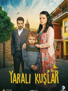 Раненые птицы