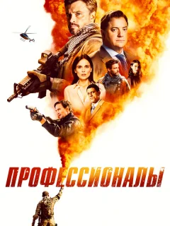 Профессионалы