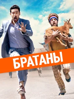 Сводные братья