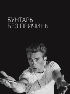 Бунтарь без причины