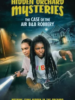 Тайны Хидден Орчеда. Ограбление Эйрбиэнби