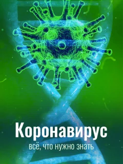Коронавирус. Все, что нужно знать