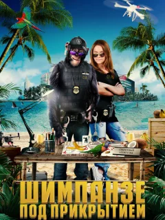 Шимпанзе под прикрытием