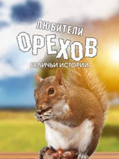 Любители орехов. Беличьи истории