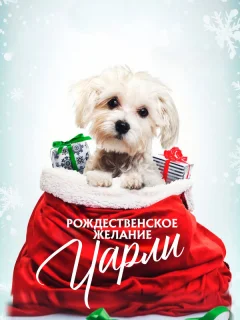 Рождественское желание Чарли