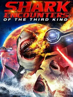 Акульи контакты третьей степени