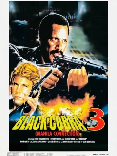 Черная кобра 3: Манильский связной