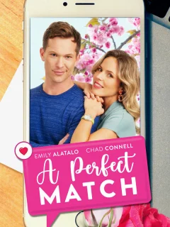 Идеальное сходство