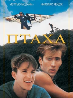 Птаха