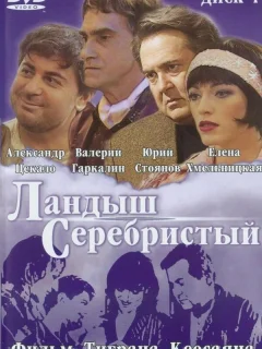 Ландыш серебристый	