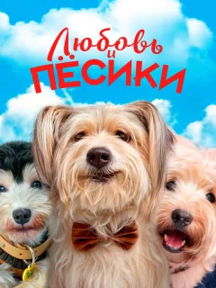 Любовь и пёсики