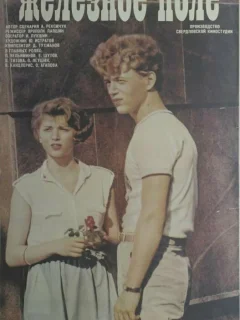 Железное поле