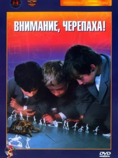 Внимание, черепаха!