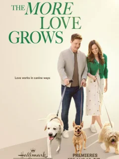 Любовь как цветок