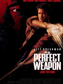 Совершенное оружие