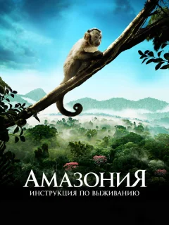 Амазония: Инструкция по выживанию