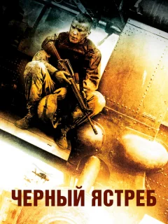 Черный ястреб