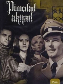 Темные окна