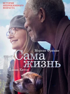 Сама жизнь