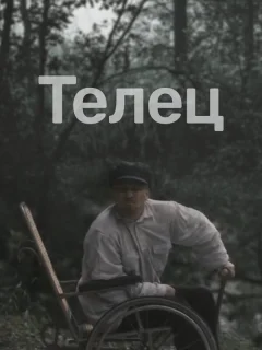Телец