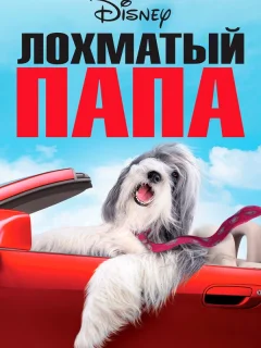 Лохматый папа