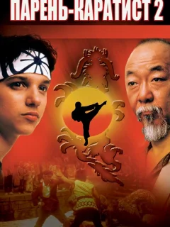 Парень-каратист 2