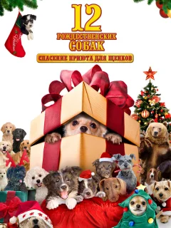 12 рождественских собак