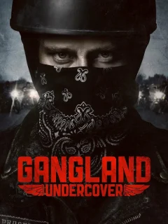 Под прикрытием